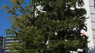 戦後復興のシンボル