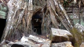 ずっと居たい場所です。