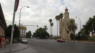 昔は黄金色とのことでした。