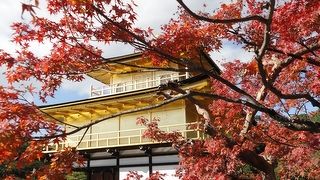 紅葉が素晴らしいです。