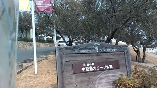 オリーブのおみやげがいっぱい