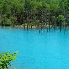 きれいなブルー