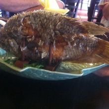 エレファントフィッシュ