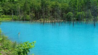 入浴剤でも入ってるんじゃないかと思うぐらいきれいなブルー