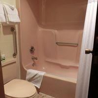 お湯の勢いは強い。浅いバスタブ。タブ底面は落ちない汚れ。