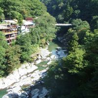 旅館近くから見渡す大歩危峡