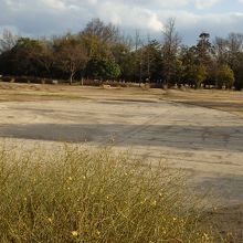 湿地跡。コンクリートで塗り固められている。