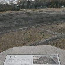 水田跡。起伏の多い土地だったため細かく区切られていた。