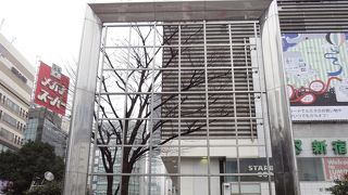 見慣れない光景でした