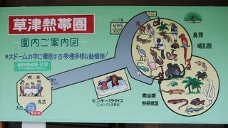 想像した以上に、たくさんの動物や熱帯植物があります