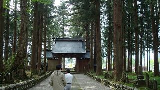 わしはこんな所、来とうなかった！