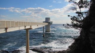 海中で魚を観察