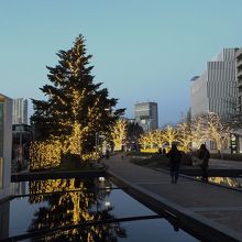 あたりの夜景 イルミネーションも見どころ