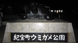 ウミガメがいる楽しい道の駅