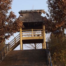 かさおか古代の丘スポーツ公園で撮影