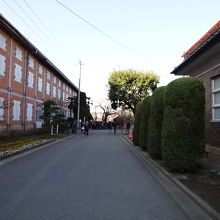 左側の大きな建物にあります。