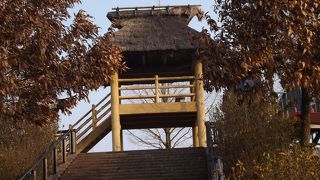 矢掛宿観光　(1)　 かさおか古代の丘スポーツ公園を散策