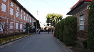 高級品も売っています。一見の価値あり。