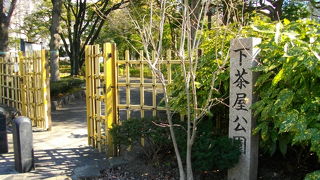 樹木が沢山あります