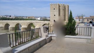 メスキータへ続く橋です。