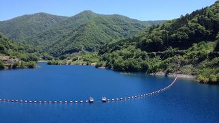 真っ青な水面が美しい！