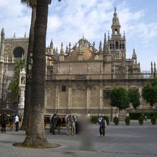 素晴らしい眺め！