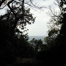 晴れた日には久高島もみえます