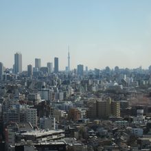 東側の眺め 遠くにスカイツリーも見えます