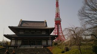 増上寺と言えばここっ