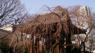 東日本最大級の鐘