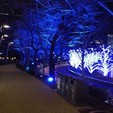 落ち着いた感じのイルミネーション