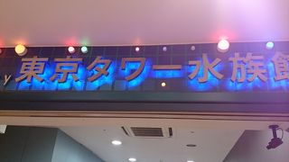 水族館と呼ぶには・・