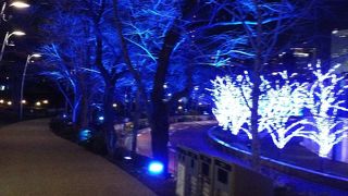 落ち着いたイルミネーション