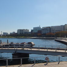 山下公園が見えます