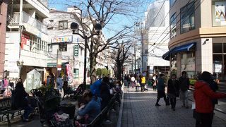 桜の名所。道の中央のベンチには沢山の人がくつろいでいます。