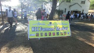 生活が垣間見られました