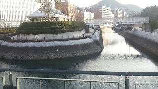 綺麗な散歩コース