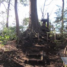 石神井公園の高台にある姫塚