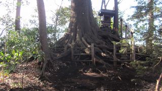 石神井城主豊島泰経の二女照姫を偲んで造られた塚