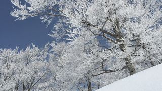 子供に優しいスキージャム勝山