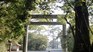 早朝人がほとんどいない時が特に良いです！！