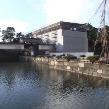 石垣や植木が綺麗な大手門橋 (大手門は工事中)