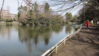 武蔵野の面影を残すのんびりとできる公園