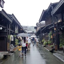 雨でしなびた姿も良いですね。