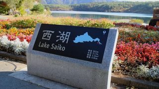 西湖　野鳥の森