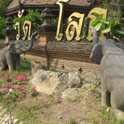 動物園みたいな可愛いお寺！