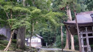 もっと多くの方々に来てもらいたいお寺です。