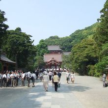 綺麗ですね、広い！