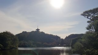 非常に広々とした庭園です。