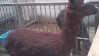 初めて行ったけど満足♪